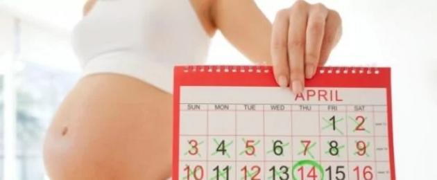 Посчитать от какого акта настала беременность. Как узнать дату зачатия. Как же рассчитать точную дату родов по менструации и узнать на какой неделе беременности вы находитесь