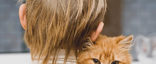 Hur man lugnar en katt under värme: droppar, tabletter, mediciner.  Kommunikation med ett husdjur: hur lugnar man en katt när han är arg eller arg?  Hur man lugnar en katt under brunsten