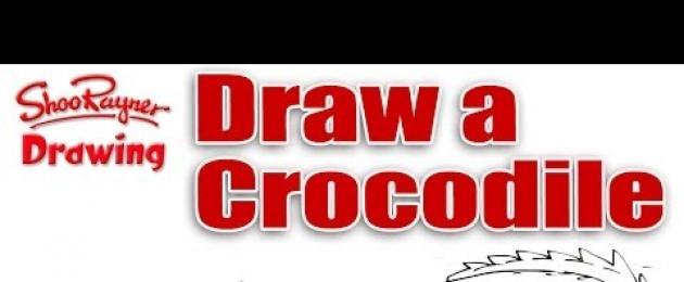 Как нарисовать крокодила карандашом. Поэтапный урок рисования для детей. Как рисовать животных: крокодилы, аллигаторы, кайманы и гавиалы Крокодил нарисовать ребенку легко
